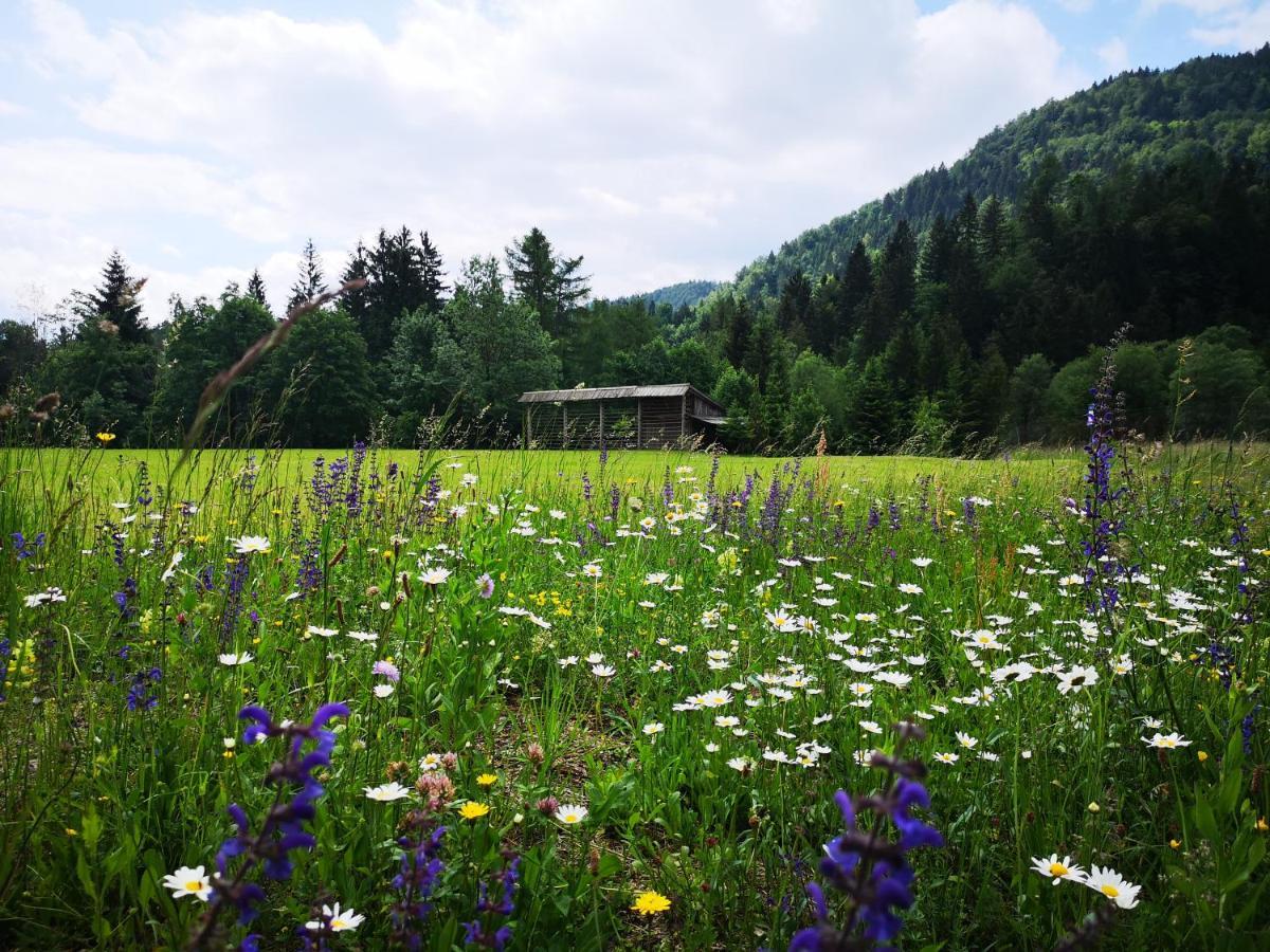 Apartmaji Volf Zgornje Gorje 外观 照片