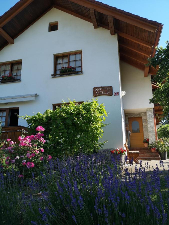 Apartmaji Volf Zgornje Gorje 外观 照片