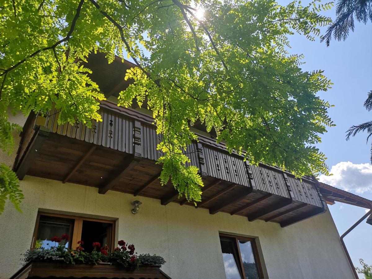 Apartmaji Volf Zgornje Gorje 外观 照片
