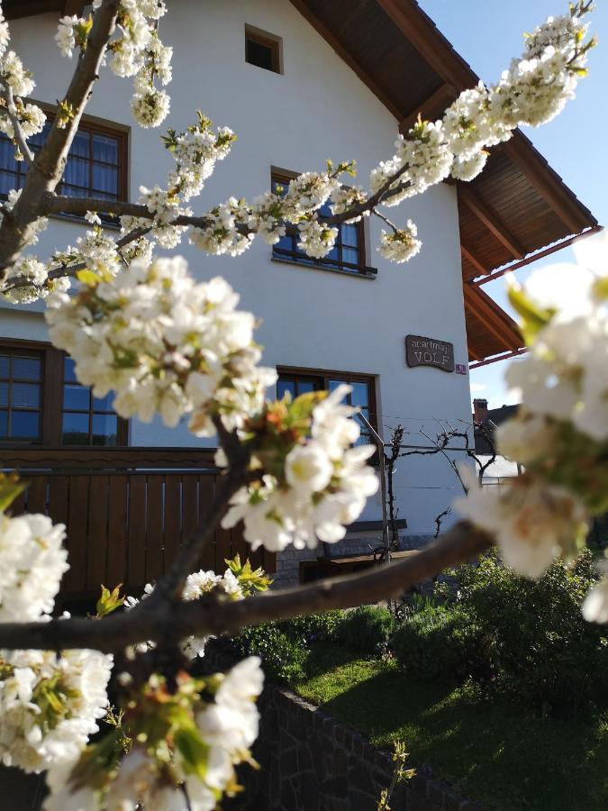 Apartmaji Volf Zgornje Gorje 外观 照片