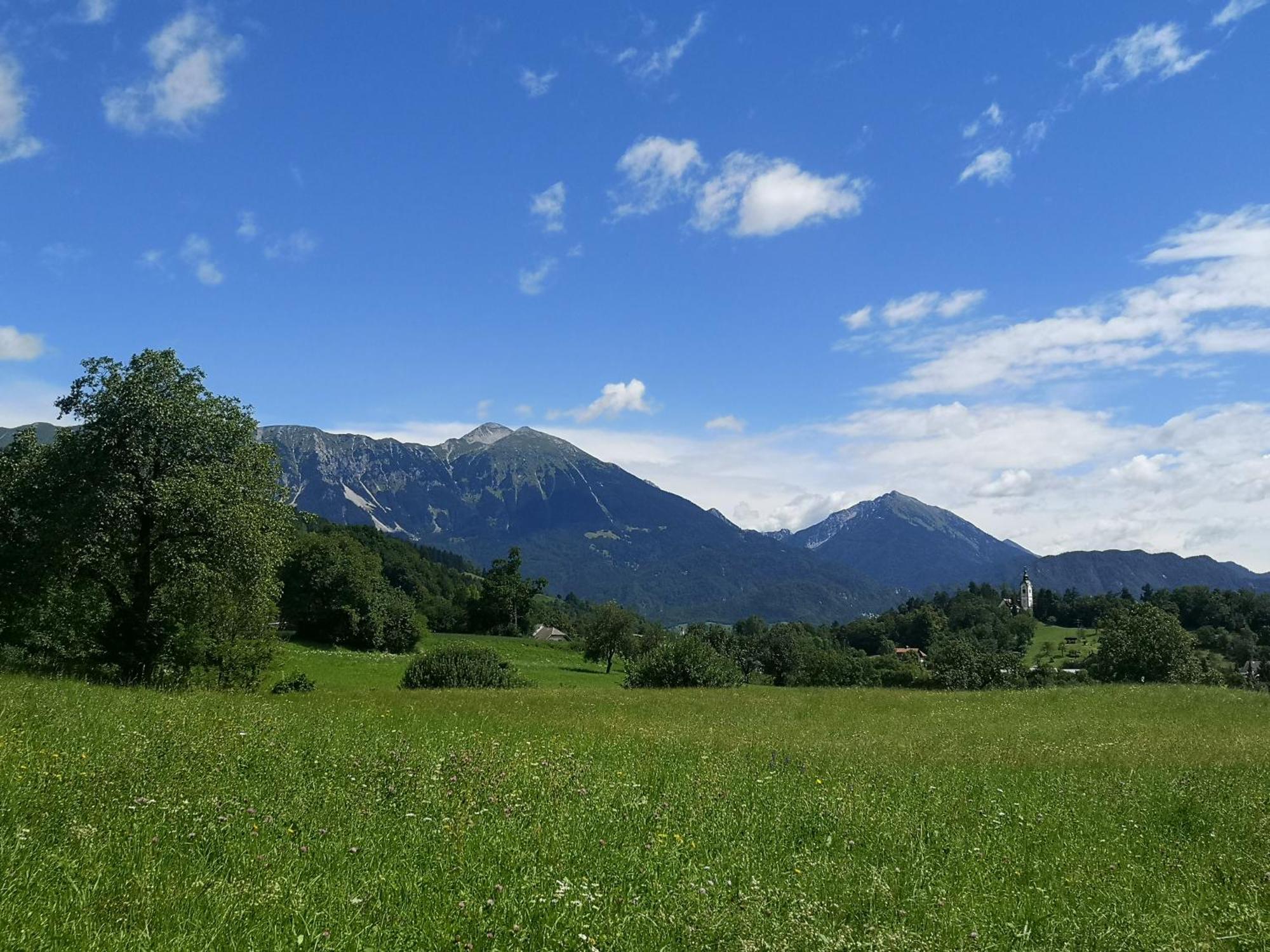 Apartmaji Volf Zgornje Gorje 外观 照片