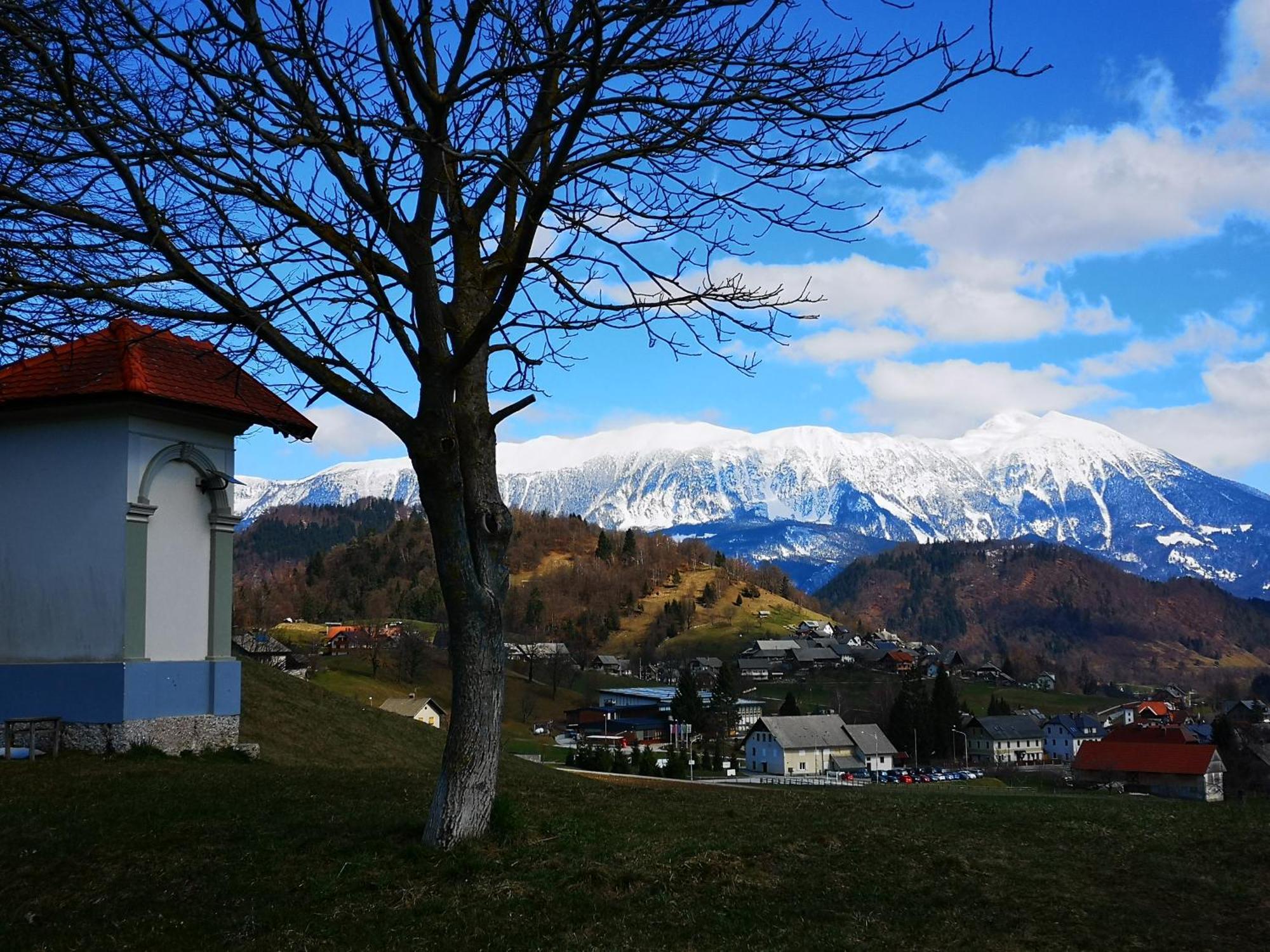 Apartmaji Volf Zgornje Gorje 外观 照片