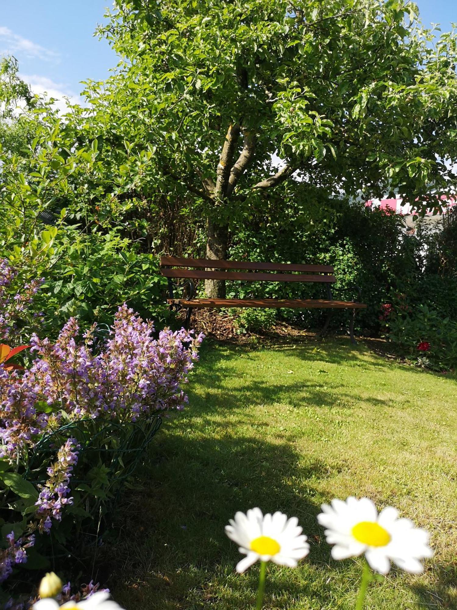 Apartmaji Volf Zgornje Gorje 客房 照片