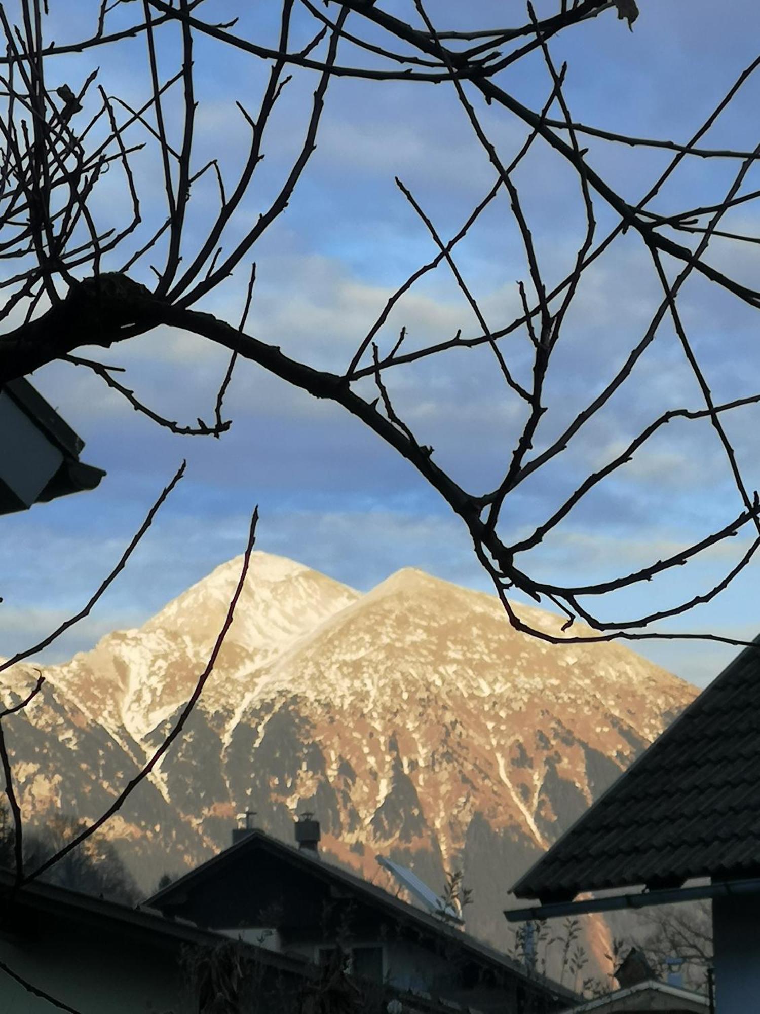 Apartmaji Volf Zgornje Gorje 外观 照片