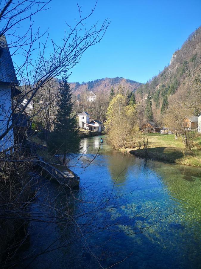 Apartmaji Volf Zgornje Gorje 外观 照片