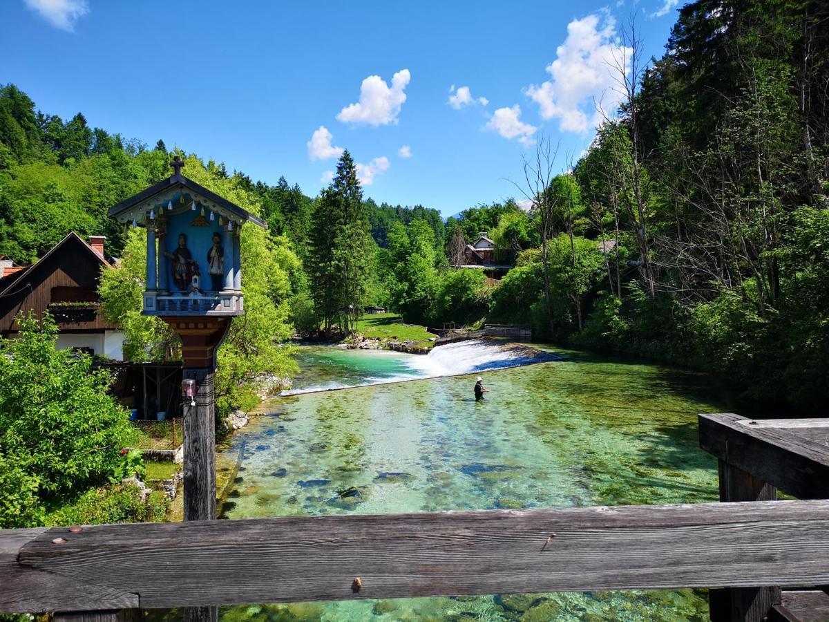Apartmaji Volf Zgornje Gorje 外观 照片