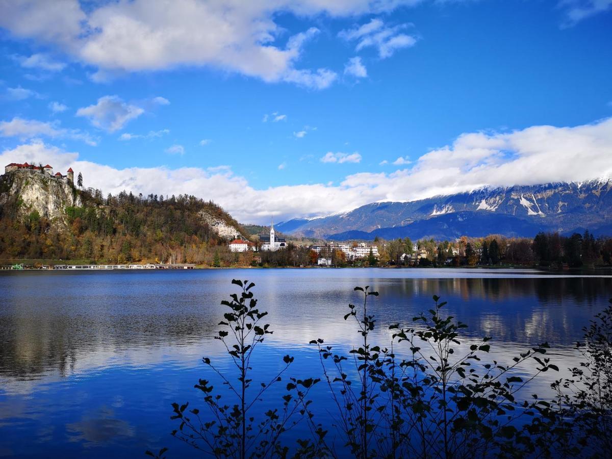 Apartmaji Volf Zgornje Gorje 外观 照片